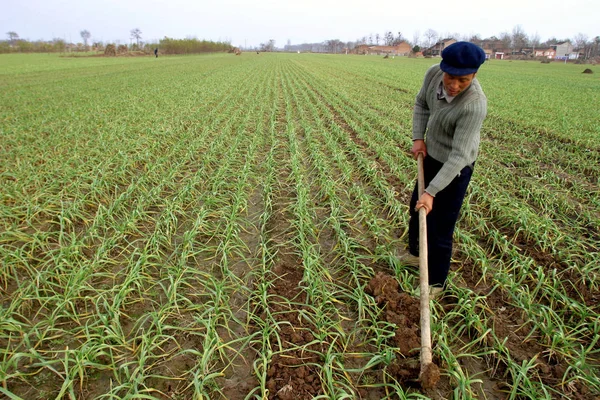 Agricultor Chinês Cultiva Terras Agrícolas Uma Aldeia Província Shaanxi — Fotografia de Stock