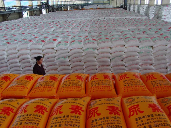 Uma Mulher Chinesa Caminha Através Pilhas Fertilizante Químico Armazém Guangxi — Fotografia de Stock
