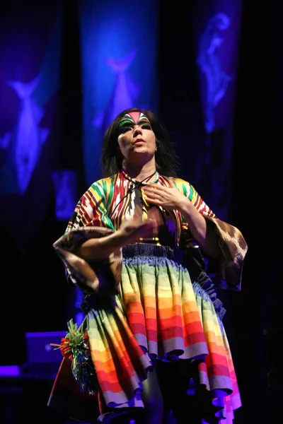 Iceland Singer Bjork Performs Her Solo Concert Shanghai March 2008 — Stock Photo, Image