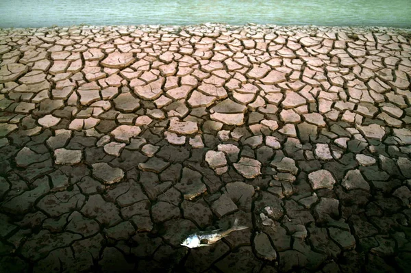 Çin Güneydoğusundaki Fujian Eyaletindeki Nanan Şehrinde Ekim 2009 Yaşanan Kuraklık — Stok fotoğraf