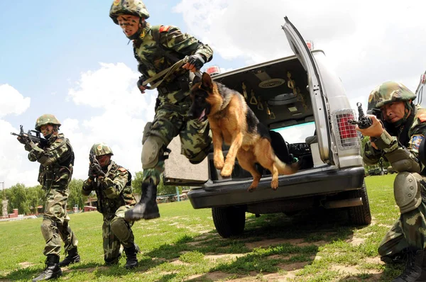 Ein Chinesischer Paramilitärischer Polizist Und Sein Polizeihund Springen Aus Einem — Stockfoto