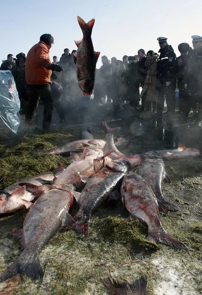 中国の漁師漁業は 2008年1月31日に中国北西部の福海で氷点下30度以上の気温で漁を行う — ストック写真