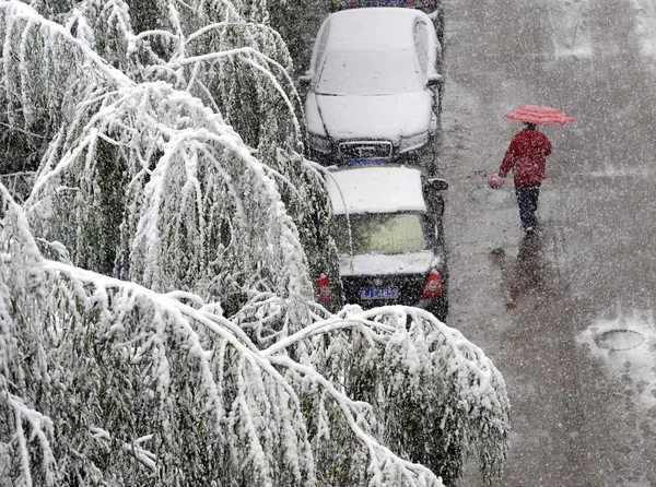 Cidadão Chinês Passa Por Carros Árvores Cobertas Neve Uma Forte — Fotografia de Stock