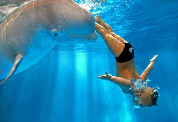 Yang Yang Schwimmt Mit Einem Jährigen Weißen Wal Wasser Der — Stockfoto