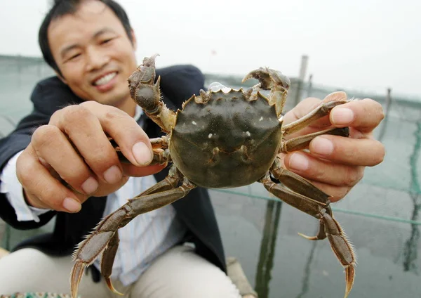 2009年9月15日 在中国东部江苏省苏州市阳城湖 一位中国螃蟹养殖者在船上展示一只毛茸茸的螃蟹 — 图库照片