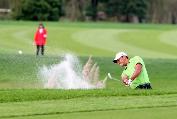 Tiger woods golf Stock Photos, Royalty Free Tiger woods golf Images