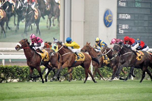 オーデマ カップ シャティン競馬場 日曜日 2008 日での 000 メートルの競争の中に彼らの馬に乗る騎手対抗します — ストック写真