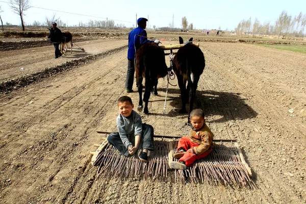 Ein Chinesisches Dorf Fährt Maultiere Zwei Kleine Kinder Einer Armen — Stockfoto