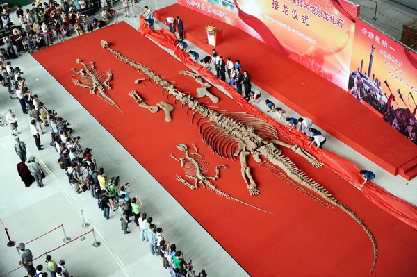 Officials Unveil Chinas Oldest Dinosaur Fossils Delivery Ceremony China Science — 스톡 사진