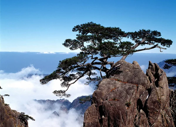 Scenérie Huangshan Mountain Také Žlutá Hora Provincii Anhui — Stock fotografie