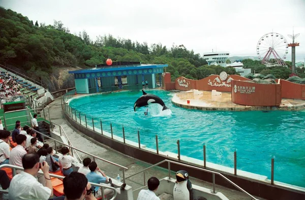 Touristen Beobachten Wale Ocean Park Hongkong — Stockfoto