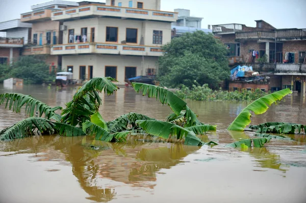 Widok Drzew Domów Zanurzone Przez Powodzie Spowodowane Przez Ulewne Deszcze — Zdjęcie stockowe