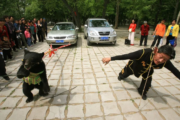 Yaşındaki Ayı Jinan Hayvanat Bahçesi Jinan Doğu Çin Shandong Eyaletinde — Stok fotoğraf