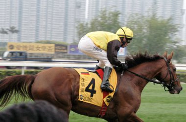 Andrasch Starke (or A. Starke) of Germany riding Quijano from Germany during the warm-up session of the 2,000-meter competition of Audemars Piguet QE II Cup at Sha Tin Racecourse, Hong Kong, China, Sunday 27 April 2008 clipart