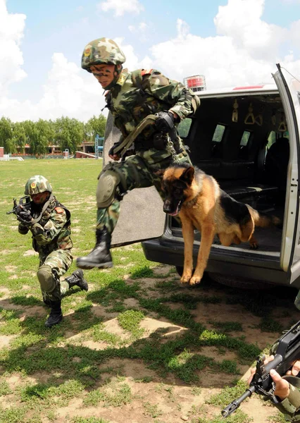 Seorang Polisi Paramiliter Tiongkok Dan Anjing Polisinya Melompat Dari Kendaraan — Stok Foto