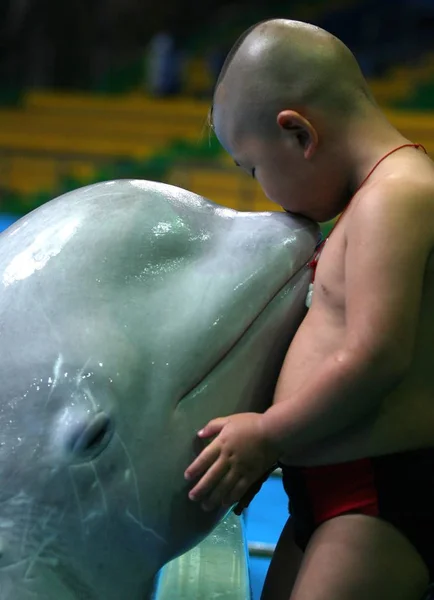 Yang Yang Φιλάει Μια Χρονη Λευκή Φάλαινα Στο Qingdao Πολικό — Φωτογραφία Αρχείου