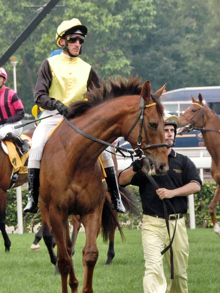 Andrasch Starke Starke Germany Riding Quijano Germany Other Jockeys Warm — Stock Photo, Image