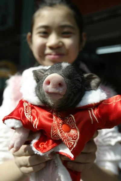 中国の女の子は広州 南中国広東省の首都 2月1日200の豚の今後の中国の旧正月の祭典のために販売された中国の伝統的な衣装に身を包んだ豚を保持しています — ストック写真