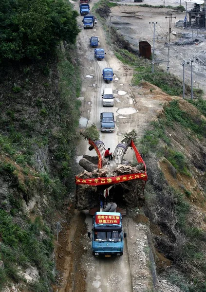 Alcanfor 900 Años Antigüedad Transportado Desde Aldea Bohai Ciudad Jingning — Foto de Stock