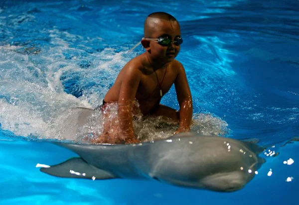 Yang Yang Reitet Auf Einem Jährigen Weißen Wal Wasser Der — Stockfoto