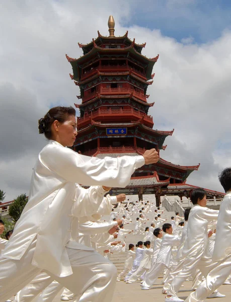 2007年9月23日 中国太极爱好者在中国福建省东南部厦门市花园展公园表演太极 太极拳 — 图库照片