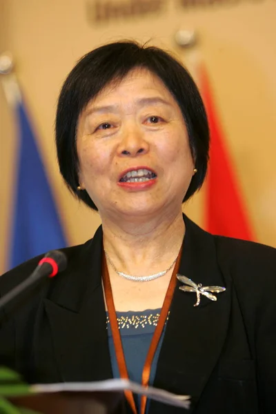 Xiaoling Vicepresidenta Del Comité Económico Financiero Del Congreso Nacional Los —  Fotos de Stock