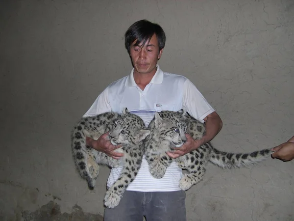 Zhang Lokal Herde Innehar Två Snö Leoparder Upp Honom Yining — Stockfoto