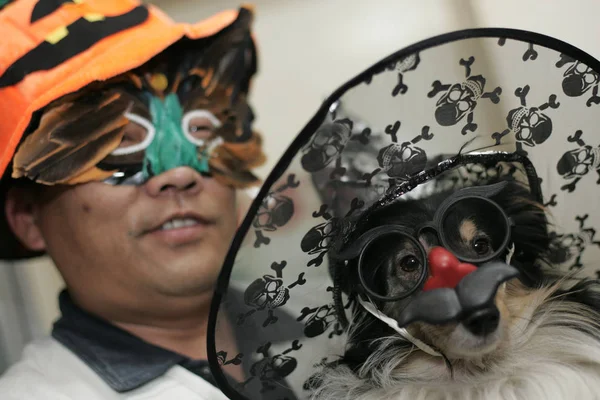 2007年10月30日 在天津 一个南瓜装打扮的男人展示他的装扮狗 — 图库照片