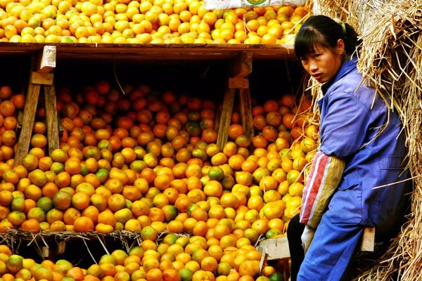 Ein Chinesischer Orangenverkäufer Wartet Auf Käufer Auf Einem Obstgroßmarkt Der — Stockfoto