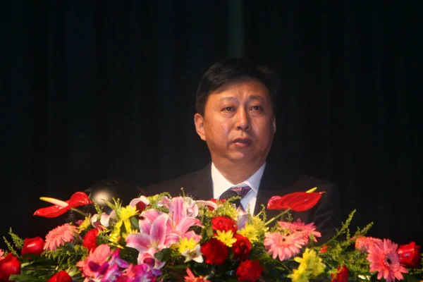 Wang Ming Vice Minister Ministry Land Resources China Speaks China — Stockfoto