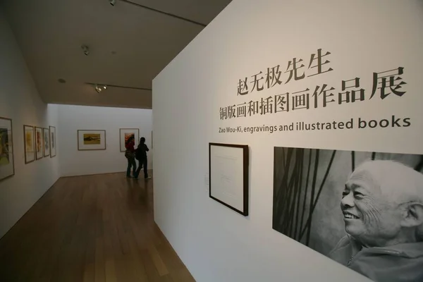 Chinese Bezoekers Kijken Naar Beroemde Chinese Frans Kunstenaar Zao Wou — Stockfoto