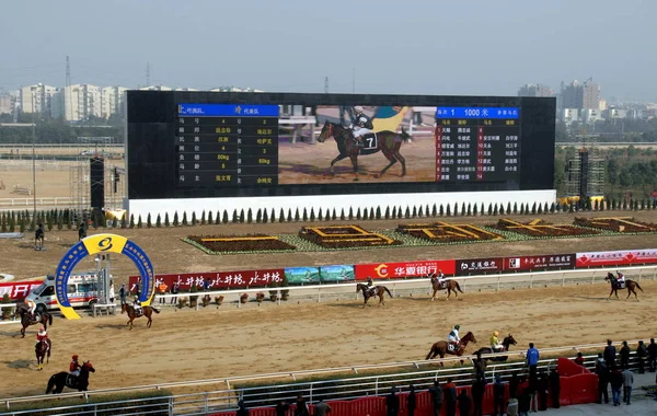 Los Jinetes Exhiben Sus Caballos Durante 10º Torneo Carreras Planas —  Fotos de Stock