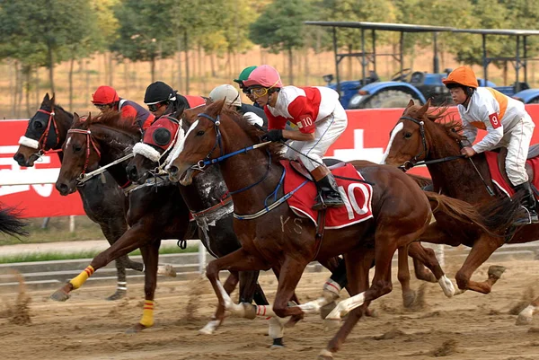 Jockeys Wuhan Şehir Orient Lucky City Hipodromu Çin Düz Racing — Stok fotoğraf