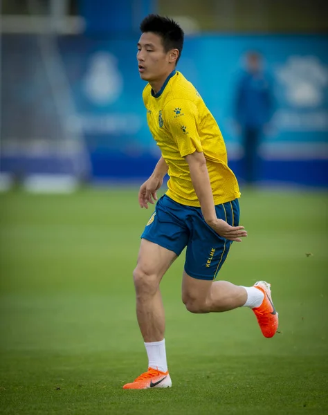 Pemain Sepak Bola Cina Lei Mengambil Bagian Dalam Sesi Latihan — Stok Foto