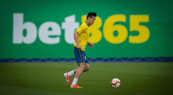 Pemain Sepak Bola Cina Lei Mengambil Bagian Dalam Sesi Latihan — Stok Foto