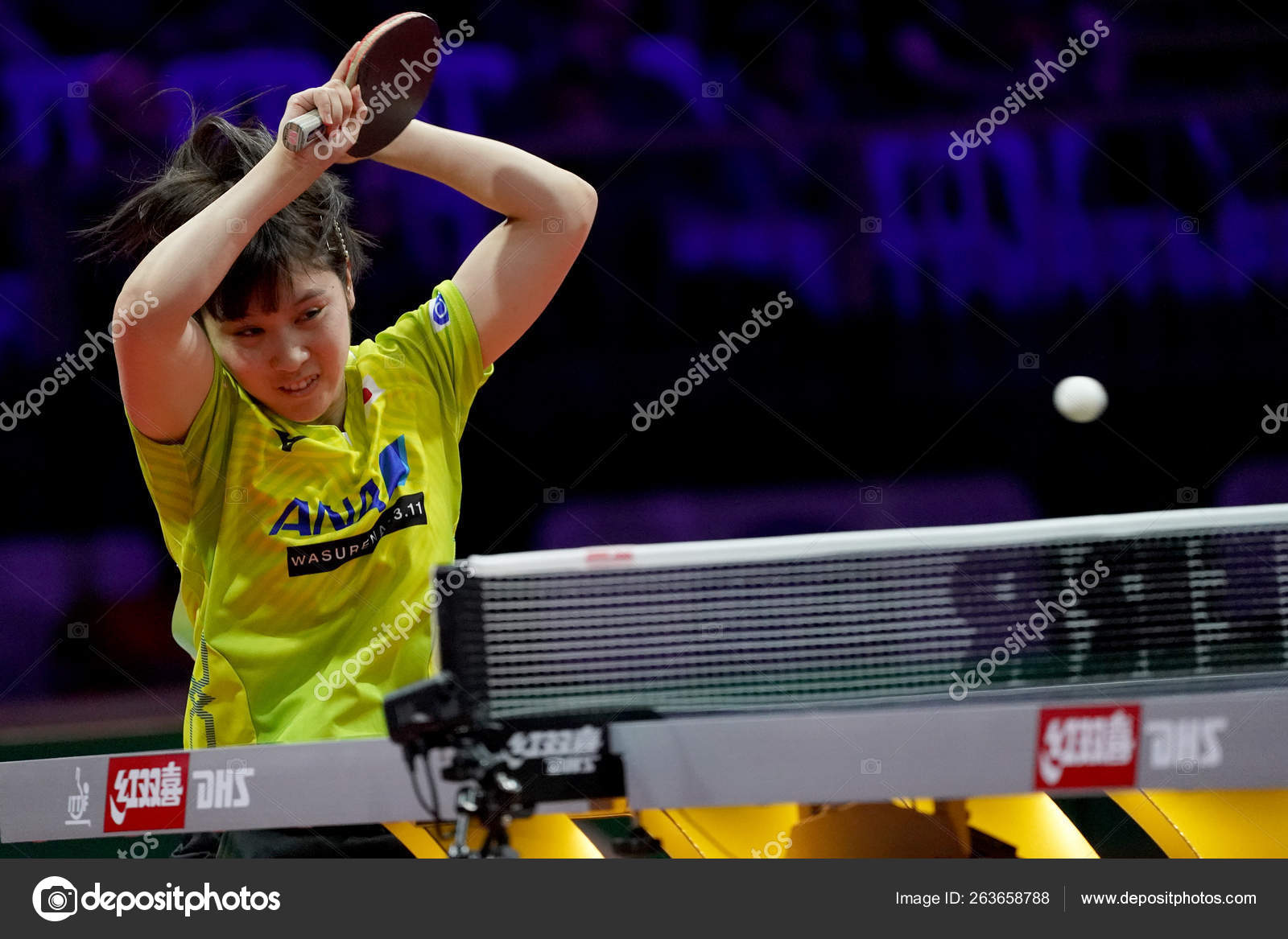 Hungary Liebherr 2019 Ittf World Table Tennis Championships