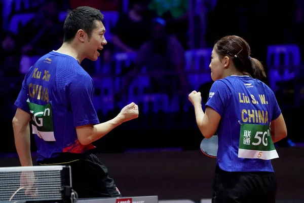 Xin Liu Shiwen China Celebrate Scoring Fan Zhendong Ding Ning — 스톡 사진