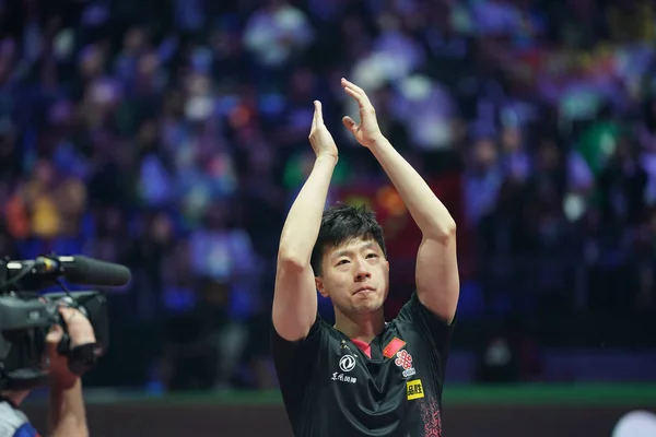 HONGRIE LIEBHERR 2019 TABLEAU MONDIAL DE L'ITTF CHAMPIONNÉES TENNIS — Photo