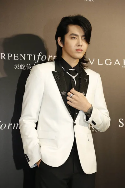 Cantante Actor Chino Kris Yifan Asiste Exposición Bulgari Serpentiform Ciudad — Foto de Stock