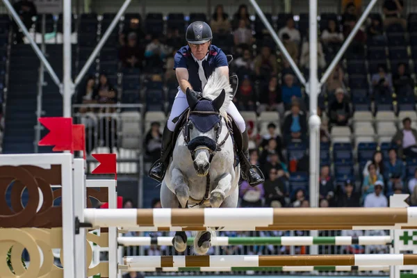 China Shanghai Longines Global Champions Tour — Stockfoto