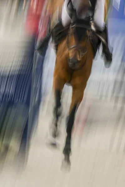 Equestre Compete Csi5 60M Tabela Contra Relógio Com Jump Durante — Fotografia de Stock