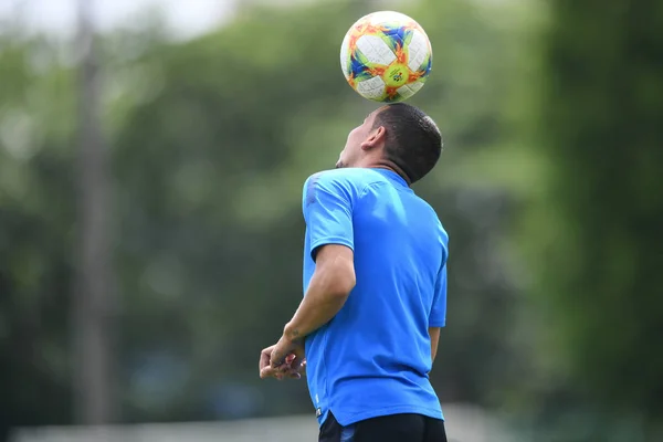 ญี่ปุ่น 2019 AFC CHAMPIONS LEAGUE — ภาพถ่ายสต็อก