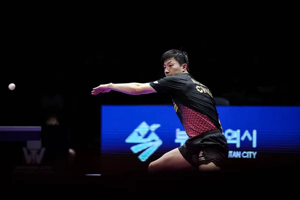 Південна Корея Швастер 2019 Ittf світовий тур Корея відкритий — стокове фото