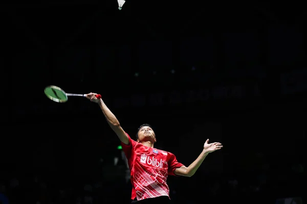74 Anthony Sinisuka Ginting Stock Photos Free Royalty Free Anthony Sinisuka Ginting Images Depositphotos