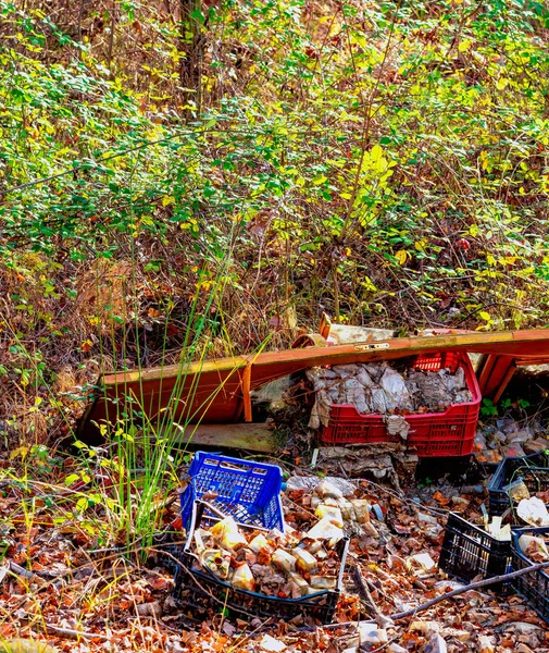 Contaminación Del Medio Ambiente Bosque Producida Por Hombre — Foto de Stock