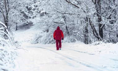 Beyaz adam karlı ormanda yürüyor.