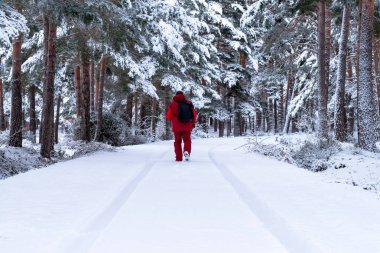 Kış ormanda yürüyen adam.