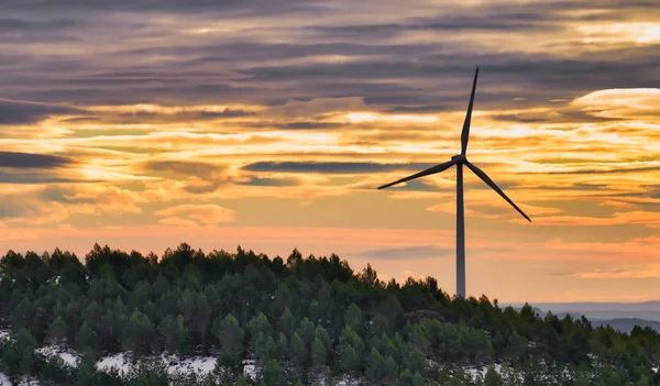 Rüzgar enerjisi rüzgar türbini, gündoğumu. Temiz enerji üretimi geleceği.