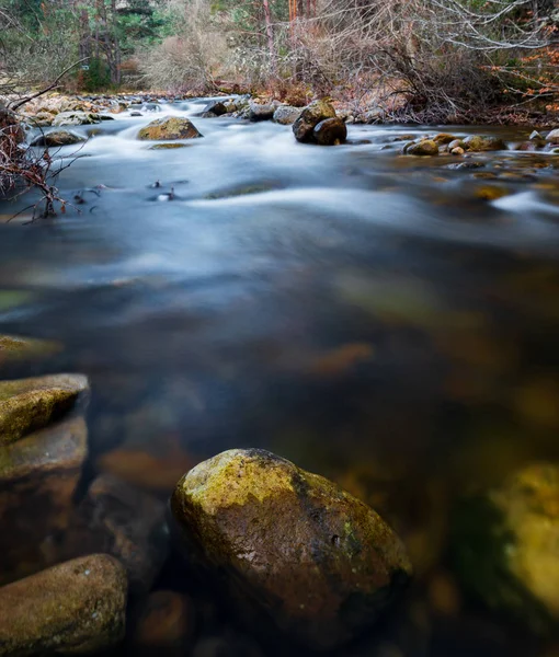 Cena com rio de longa exposição na floresta pela manhã — Fotografia de Stock