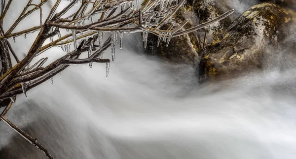 Scen med floden i bakgrunden och istappar på vinter träd — Stockfoto